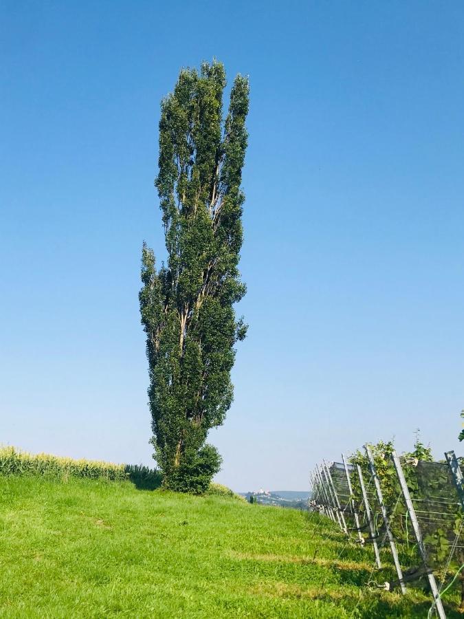 Landvilla Sinelia Premium Dietersdorf am Gnasbach Luaran gambar